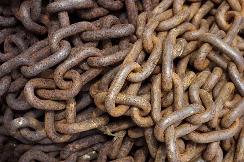 The Great Mexican Food Revolution: Why the Old Chains Are Collapsing and What Comes Next